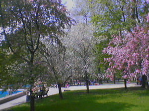 Бульвар Пушкина